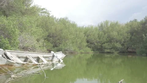 Tracking Shot of Stranded Boat at North Bali Swamp Stock Footage 147000581