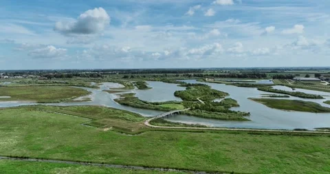 A tracking shot in the swamp Stock Footage 314332905