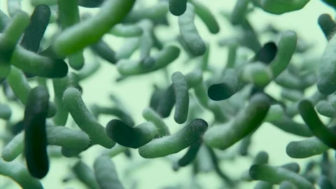 Tracking shot through bacteria colony Stock-Footage 157535531