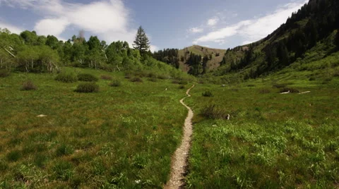 Tracking shot through green meadow along dirt trail Stock Footage 52499431