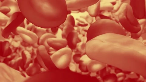 Tracking shot through a vein with red blood platelets Видео 157954419