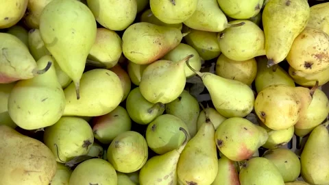 Tracking shot in Top view of pears Stock Footage 286878941