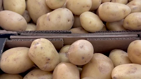 Tracking shot in top view on potatoes Stock Footage 299383813