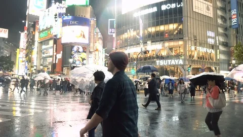 Tracking Shot of Tourist Walking Through Crowds At Shibuya Crossing in Tokyo Stock Footage 105058527