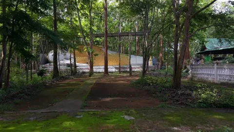 Tracking shot toward a reclining Buddha statue in a forest temple Stock Footage 335618033