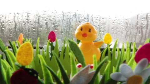 Tracking shot of toy yellow chick dancing in window Stock Footage 147250050