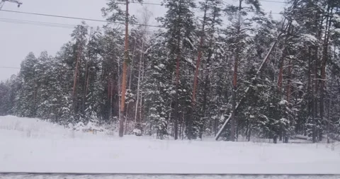 Tracking shot from a train window, capturing the serene beauty of snow-laden Stock Footage 253285661