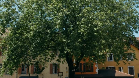 Tracking shot from tree to bell tower, Annecy France Video stock 92160836