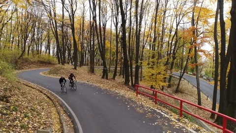 Tracking shot of two cyclists riding uphill through a forest in autumn Stock Footage 113045143