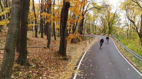 Tracking shot of two cyclists riding downhill through a forest in autmn Stock Footage 113045147