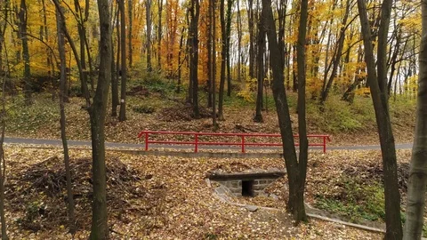 Tracking shot of two cyclists riding uphill through a forest in autmn Stock Footage 113045199