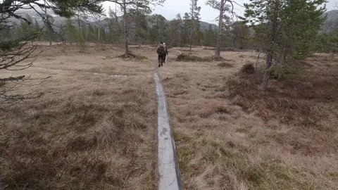 Tracking shot of two hikers walking along a wooden boardwalk through a forest Stock Footage 318918505