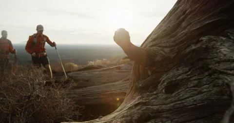 Tracking shot of two trekkers jumping over rocks in desert slow motion sunrise Stock Footage 64365704