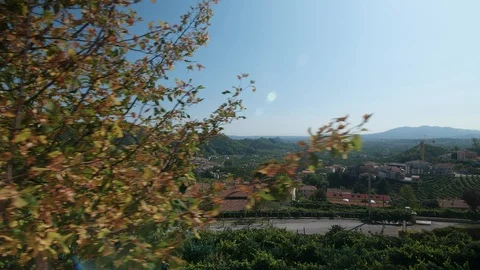 Tracking shot - view from Santo Stefano in Valdobbiadene -4k Stock Footage 115506749