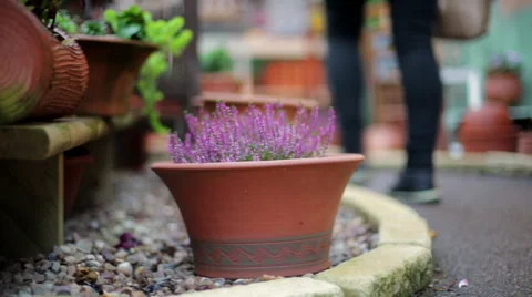 Tracking shot walking into garden Stock Footage 44289059