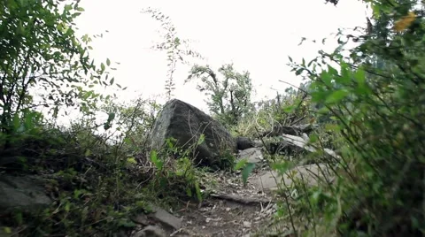 Tracking shot walking green path filmed in north India Stock Footage 58178854