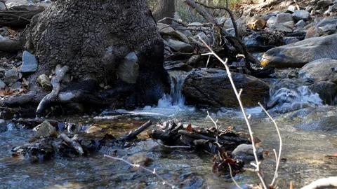 Tracking shot of water flowing in a cool mountain stream Stock Footage 128576259