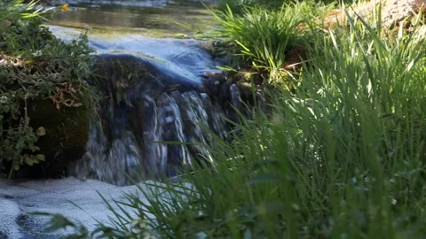 Tracking shot of water stream Stock Footage 137823187