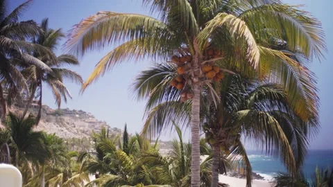 Tracking shot of an wedding event on an empty Cabo San Lucas beach. Stock Footage 134594471