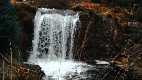 Tracking shot of wheat with a waterfall backdrop Stock Footage 106018483