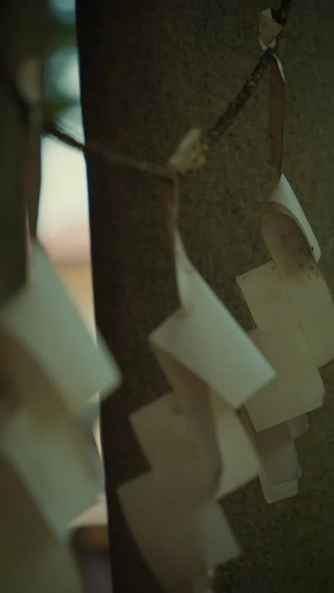 Tracking shot of white shide paper streamers at Japanese shrine 库存影片 346263751