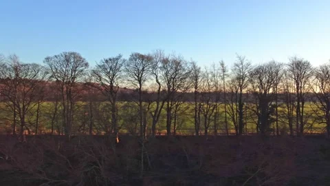 Tracking Shot of Winter Trees Sunset Along River Bank of the River Tees Stock Footage 167143223