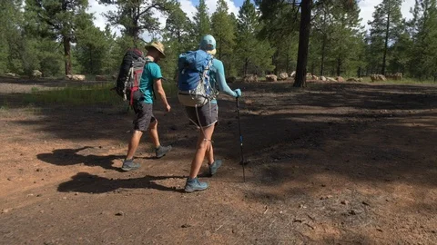 Tracking shot of a young man and woman backpacking in the forest Stock Footage 94706659