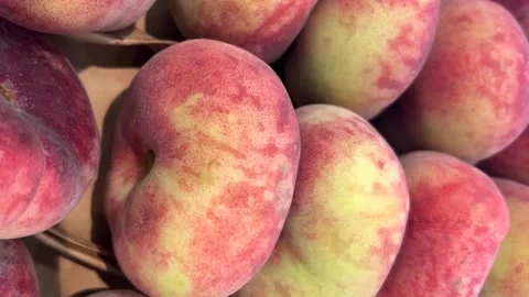 Tracking shots on Snuff peaches Stock Footage 310574407