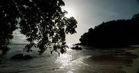 Tracking Shot/Sun Through Trees/Beach At Sunset 4K Stock Footage 152878803