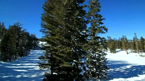 TRACKING SKI RUN Stock-Footage 1012508