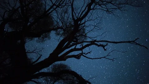 Tracking star studded night sky Stock Footage 87821116