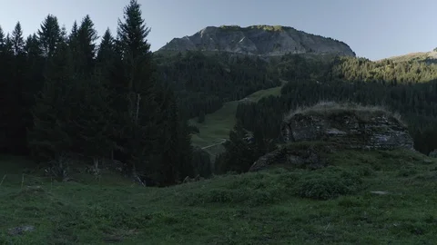 Tracking Through The Field - DJI Mavic Pro 2 - 4K - 23.98 fps - Megeve, FRA Stock Footage 122333833