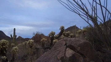 Tracking time lapse of a pristine desert scene in Arizona Stock Footage 85865464