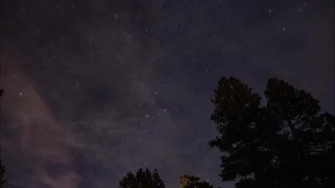 Tracking time lapse of stars and thin clouds over the forest at night Stock Footage 342824386