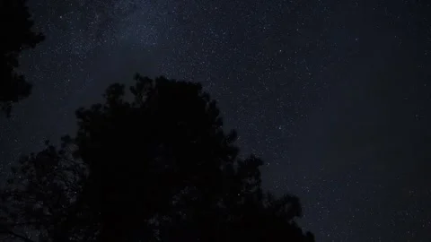 Tracking time lapse of stars moving over the forest Stock Footage 345662720