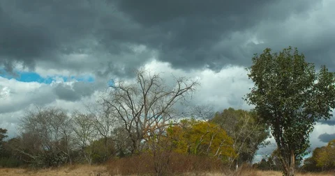 Tracking Timelapse of Clouds Over African Bush 库存影片 92054113
