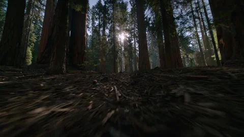 Tracking Toward The Light Stock Footage 342734987