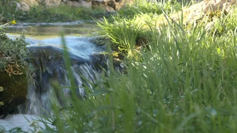 Tracking video of the river Stock Footage 137966805