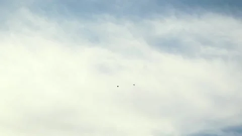 Tracking view birds fly down in distance above houses in overcast day with cl Stock Footage 157007562