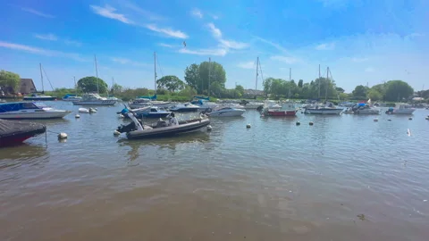 Tracking walking along river bank Seaguls flying past boats Stock Footage 242863787