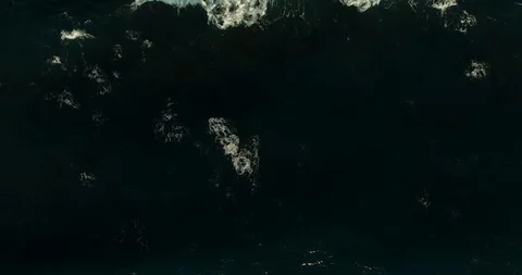 Tracking a wave that breaks on the rocks. aerial shot. Stock Footage 97300496