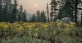 Tracking Wildfire Smoke Mount Ashland Oregon Meadow Sunset Time Lapse 4k or 4k+ Resolution