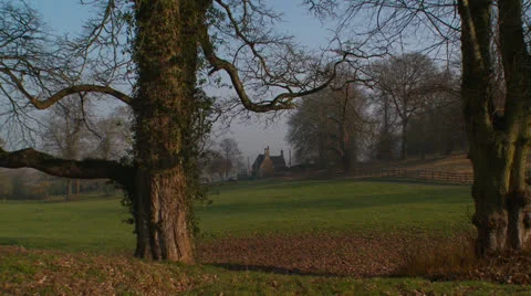 Tracking in the woods Stock Footage 25286112