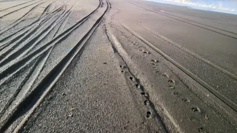 Tracks on the Beach 스톡 동영상 317300951