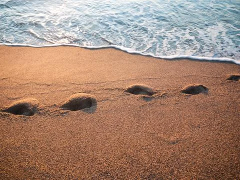 Tracks on the beach Stock Photos