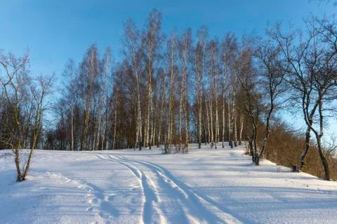 Tracks in deep snow next to forest of bare trees Stock Photos