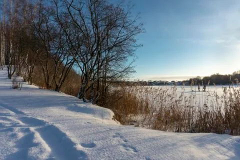 Tracks in deep snow next to forest of bare trees Stock Photos