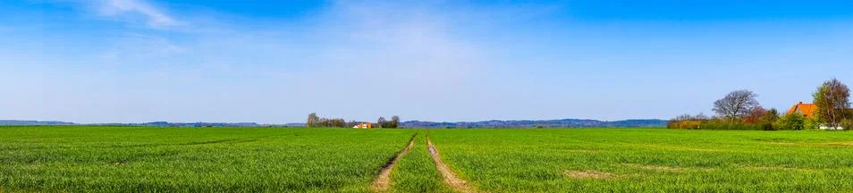 Tracks on a field in panorama landscape Stock Photos