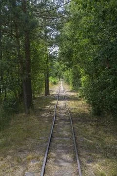 Tracks of the former narrow gauge railway Soos Mineral Moor Skalna Karlovarsky Stock Photos