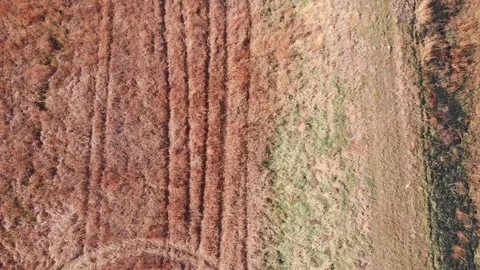 Tracks in grass field Stock Footage 98800275